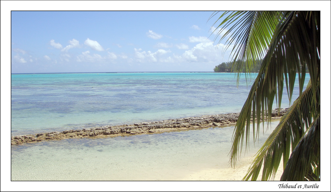 2009 - 08 - Moorea 04